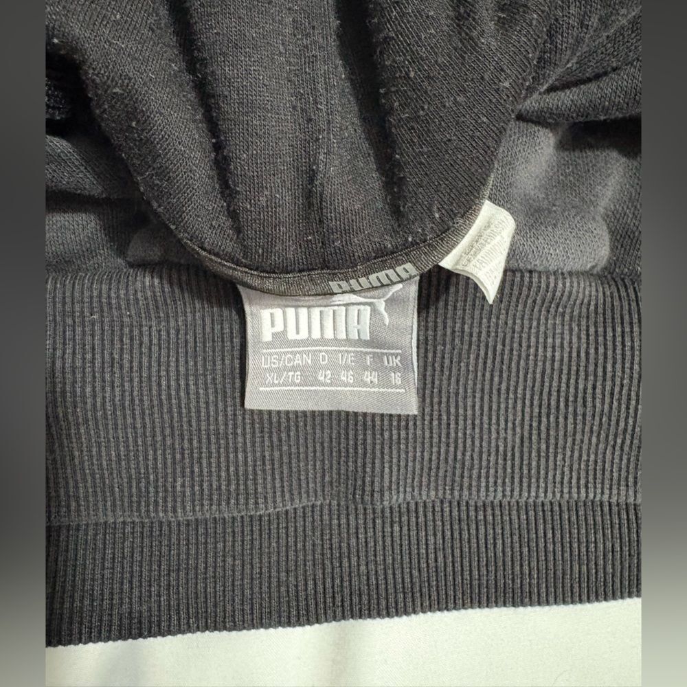 PUMA Kids Charcoal Hoodie - Picture 4 of 4
